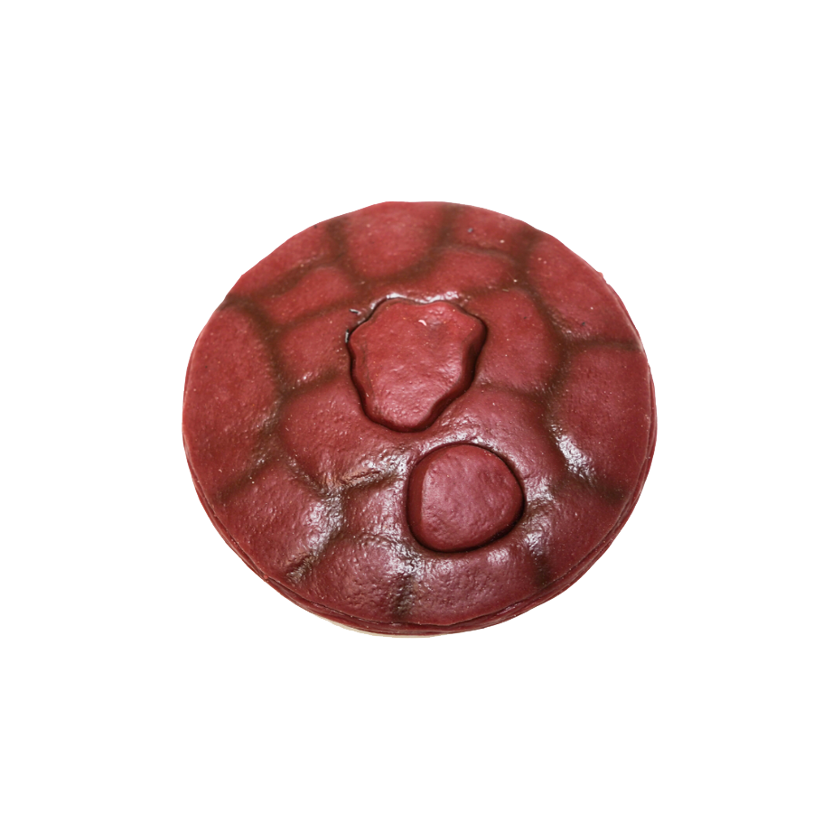 Simulated Placenta