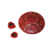 Placenta